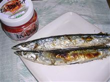 初秋刀魚！