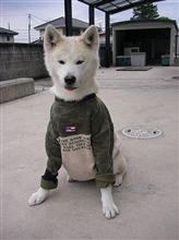 ハナの犬キング　その２