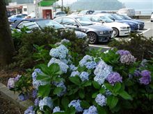 k7さん40&#39;s突入記念？？ALPINA ツーリングオフ