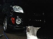 これでホントに最後の洗車