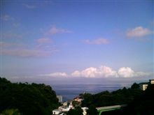 日常忘れて伊豆半島に住み着いています（汗
