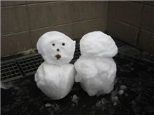 雪の贈りもの