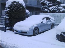 雪が止んで雨になったようです。