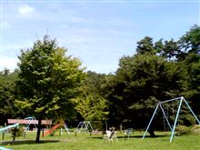 今日もまた懲りずに。