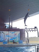 海峡館に行って来ましたよん! 海峡館に行って来ましたよん!