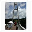 九重夢吊橋。