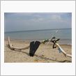 &#39;07ぶらり一人旅inたまねぎ島