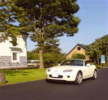 間違い探し　だぽ。