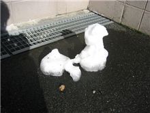 昨日の雪だるま