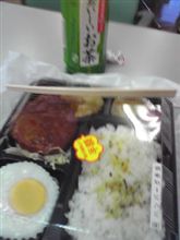 今日は半額に