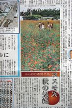 真似したな！（笑）