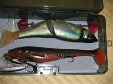 虫かビッグベイトかそれとも・・・