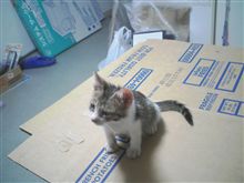 だいどんでん返し！！