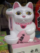 ちょっと引かれた「湯沸し猫」