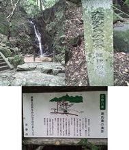 癒しを求めて