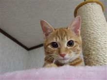 どうしたんだ?? どうしたんだ??