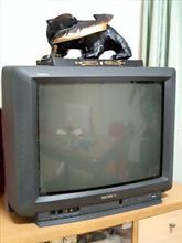 テレビが不調！