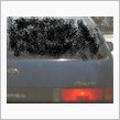 新車種・新グレード発見！？