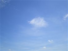 空は秋空なのに．．．