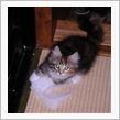 いきなりですが