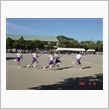 大量ブログＵＰ？でも無いかなぁ～運動会！