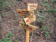 街道てくてく旅の１４日目残りと、１５日目、１６日目のルートを歩いてみました