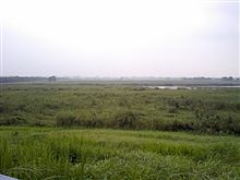 多少はホッとできます