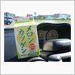 メロンカツゲン♪