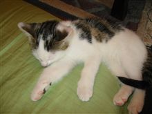 最近年だな～