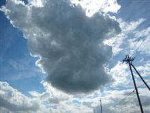 今度こそ! 今度こそ!