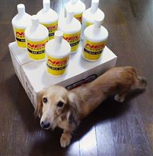 買いだめ：オイル