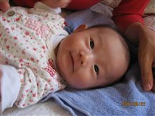 もうすぐ2ヶ月順調に成長しています。 もうすぐ2ヶ月順調に成長しています。