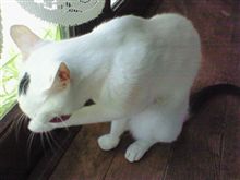 家の中での異変・・・
