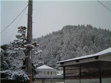 今日は休み・・・何しよう。