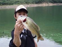 釣果報告