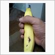 気がつけば……