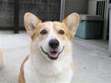モモさん、やっと落ち着きました。
