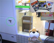 犬を連れてコンビニに行く人が多い？