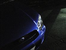 １年点検