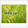 10月も宜しくです