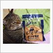 猫の舌