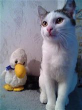 最近、考えさせられています。