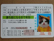 なめねこ