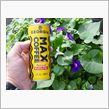 みそ汁が飲みたいです