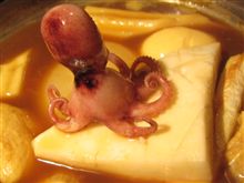 夜は、「花でん」カレーおでん
