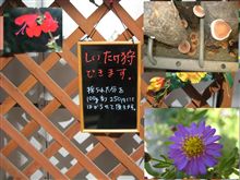 高槻森林センターへドライブ