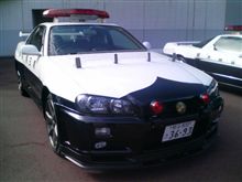 聖域？