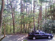 こんな山奥に来てます