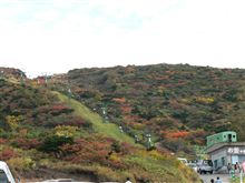 紅葉