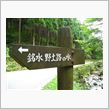 野土路の水